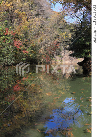 栗林公園南庭、小普陀の睡竜潭北側から石壁（赤壁）を見る 135913933