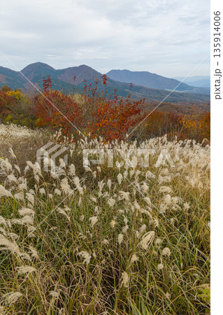 日本　 岡山県真庭市蒜山にある鬼女台展望台から眺める蒜山三座と紅葉 135914006