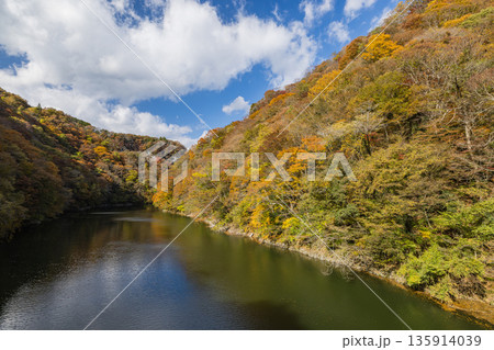 日本 広島県庄原市東城町にある帝釈峡 ダム湖である神龍湖と紅葉した木々 日本 広島県庄原市東城町にある帝釈峡 ダム湖である神龍湖と紅葉した木々 135914039