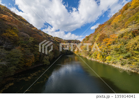 日本　広島県庄原市東城町にある帝釈峡　ダム湖である神龍湖と紅葉した木々 135914041