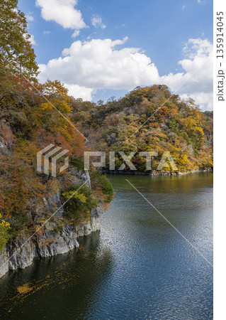 日本　広島県庄原市東城町にある帝釈峡　ダム湖である神龍湖と紅葉した木々 135914045