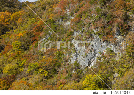 日本 広島県庄原市東城町にある帝釈峡 ダム湖である神龍湖と紅葉した木々 日本 広島県庄原市東城町にある帝釈峡 ダム湖である神龍湖と紅葉した木々 135914048