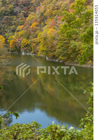 日本　広島県庄原市東城町にある帝釈峡　ダム湖である神龍湖と紅葉した木々 135914055