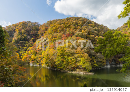 日本 広島県庄原市東城町にある帝釈峡 ダム湖である神龍湖と紅葉した木々 日本 広島県庄原市東城町にある帝釈峡 ダム湖である神龍湖と紅葉した木々 135914057