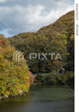 日本　広島県庄原市東城町にある帝釈峡　ダム湖である神龍湖と紅葉した木々 135914059