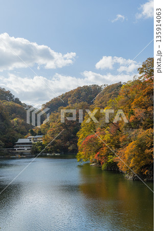 日本　広島県庄原市東城町にある帝釈峡　ダム湖である神龍湖と紅葉した木々 135914063