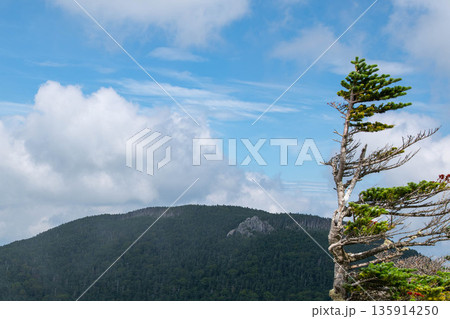 甲武信ヶ岳から見る三宝山 甲武信ヶ岳から見る三宝山 135914250