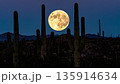 Moonrise Over Desert Cactus . Nature Concept. Generated Image 135914634