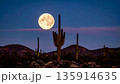 Moonrise Over Desert Cactus . Nature Concept. Generated Image 135914635