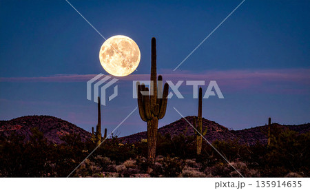 Moonrise Over Desert Cactus . Nature Concept. Generated Image 135914635