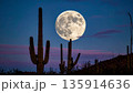 Moonrise Over Desert Cactus . Nature Concept. Generated Image 135914636