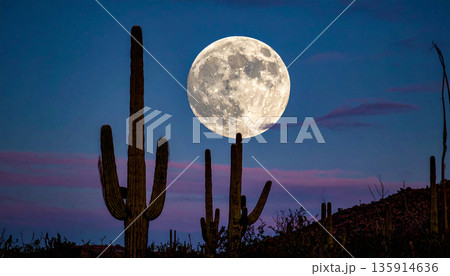 Moonrise Over Desert Cactus . Nature Concept. Generated Image 135914636