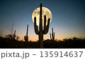 Moonrise Over Desert Cactus . Nature Concept. Generated Image 135914637