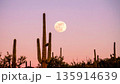 Moonrise Over Desert Cactus . Nature Concept. Generated Image 135914639