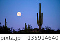 Moonrise Over Desert Cactus . Nature Concept. Generated Image 135914640