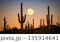 Moonrise Over Desert Cactus . Nature Concept. Generated Image 135914641