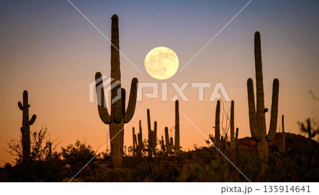 Moonrise Over Desert Cactus . Nature Concept. Generated Image 135914641