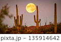 Moonrise Over Desert Cactus . Nature Concept. Generated Image 135914642