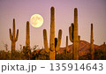 Moonrise Over Desert Cactus . Nature Concept. Generated Image 135914643