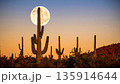Moonrise Over Desert Cactus . Nature Concept. Generated Image 135914644