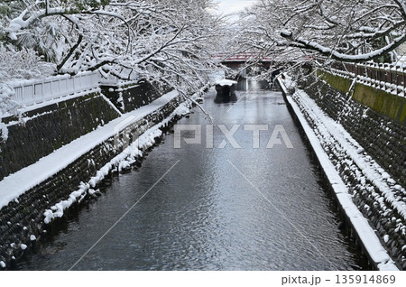 水門川の大垣船町川湊の雪景色（岐阜県大垣市） 135914869
