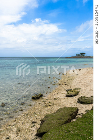 沖縄　本島　エメラルドビーチ　岩 135915441