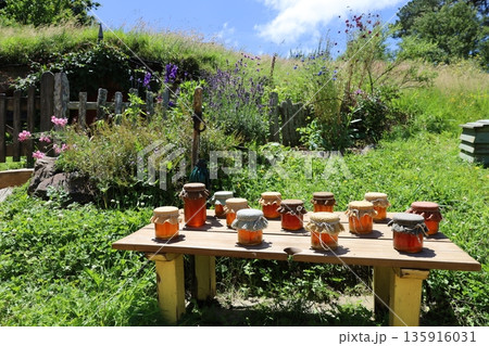 ホビット村の風景【ニュージーランド・マタマタ】 135916031