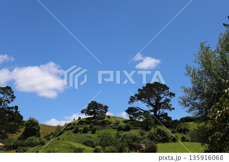 ホビット村の風景【ニュージーランド・マタマタ】 ホビット村の風景【ニュージーランド・マタマタ】 135916068