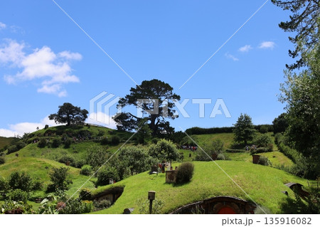 ホビット村の風景【ニュージーランド・マタマタ】 135916082