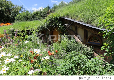 ホビット村の風景【ニュージーランド・マタマタ】 135916323