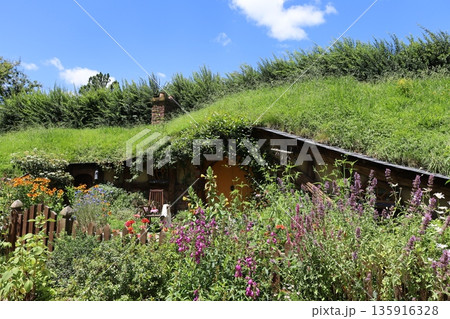 ホビット村の風景【ニュージーランド・マタマタ】 135916328