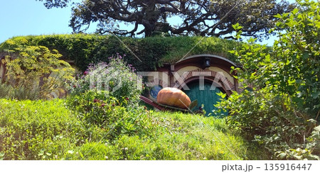 ホビット村の風景【ニュージーランド・マタマタ】 135916447