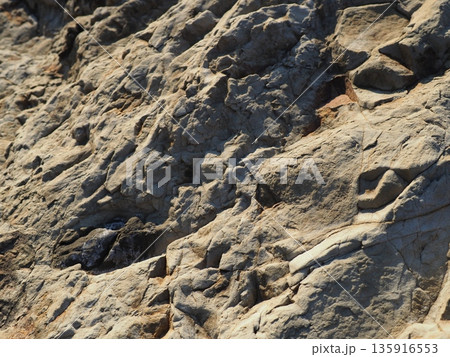 水面の芸術　一瞬一瞬の奇跡　コピースペース　テクスチャ　自然の織りなす芸術 135916553