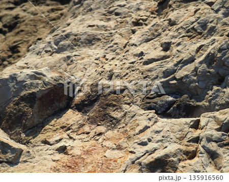 水面の芸術　一瞬一瞬の奇跡　コピースペース　テクスチャ　自然の織りなす芸術 135916560