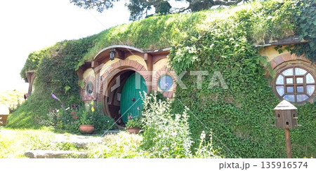 ホビット村の風景【ニュージーランド・マタマタ】 ホビット村の風景【ニュージーランド・マタマタ】 135916574