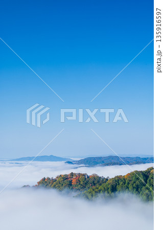 日本 岡山県高梁市にある雲海展望台から眺める早朝の雲海に浮かぶ備中松山城 日本 岡山県高梁市にある雲海展望台から眺める早朝の雲海に浮かぶ備中松山城 135916597