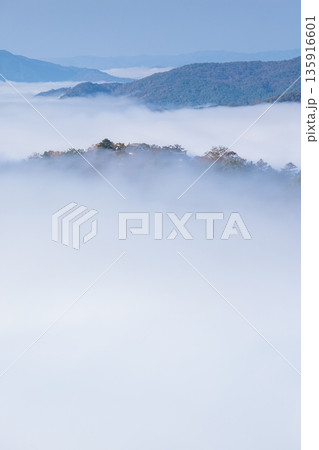 日本　岡山県高梁市にある雲海展望台から眺める早朝の雲海に浮かぶ備中松山城 135916601