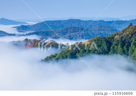 日本　岡山県高梁市にある雲海展望台から眺める早朝の雲海に浮かぶ備中松山城 135916609