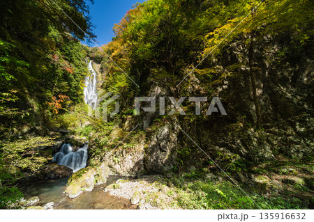 日本 岡山県真庭市にある神庭の滝自然公園内の紅葉と神庭の滝 日本 岡山県真庭市にある神庭の滝自然公園内の紅葉と神庭の滝 135916632