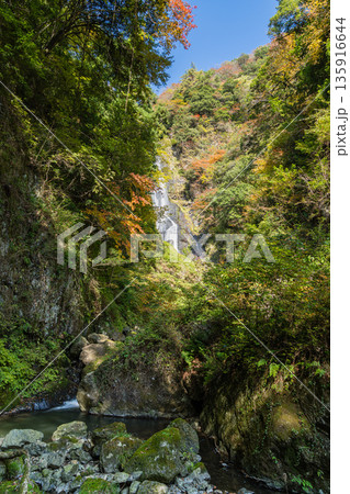 日本 岡山県真庭市にある神庭の滝自然公園内の紅葉と神庭の滝 日本 岡山県真庭市にある神庭の滝自然公園内の紅葉と神庭の滝 135916644