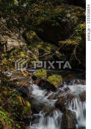 日本 岡山県真庭市にある神庭の滝自然公園内を流れる川 日本 岡山県真庭市にある神庭の滝自然公園内を流れる川 135916654