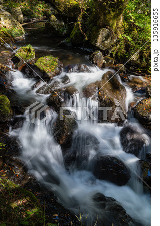 日本 岡山県真庭市にある神庭の滝自然公園内を流れる川 日本 岡山県真庭市にある神庭の滝自然公園内を流れる川 135916655