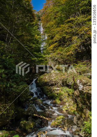 日本　岡山県真庭市にある神庭の滝自然公園内の紅葉と神庭の滝 135916656