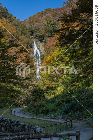 日本　岡山県真庭市にある神庭の滝自然公園内の紅葉と神庭の滝 135916659