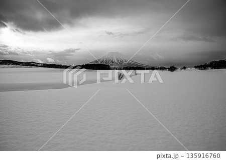 静寂の雪原に佇む羊蹄山 モノクロの冬景色 静寂の雪原に佇む羊蹄山 モノクロの冬景色 135916760