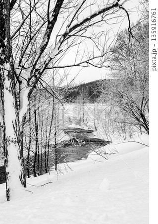 冬木立に囲まれた静かな雪の流れ 135916761
