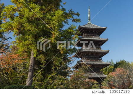 日本　岡山県総社市にある備中国分寺の五重塔 135917159