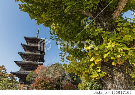 日本　岡山県総社市にある備中国分寺の五重塔 135917163