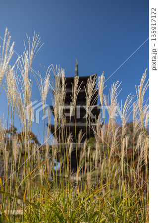 日本 岡山県総社市にある備中国分寺の五重塔 日本 岡山県総社市にある備中国分寺の五重塔 135917172