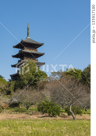 日本 岡山県総社市にある備中国分寺の五重塔 日本 岡山県総社市にある備中国分寺の五重塔 135917180